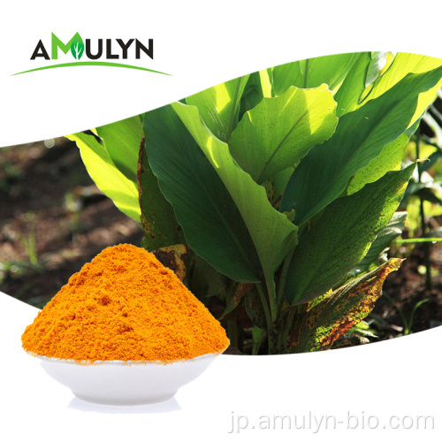 Amulyn Health Care Organic Turmeric Extract.